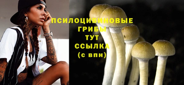 а пвп мука Алексеевка