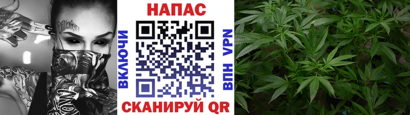 Канабис MAZAR  darknet наркотические препараты  Венёв 